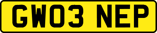 GW03NEP