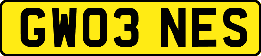 GW03NES