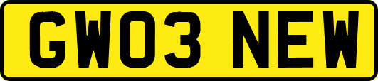 GW03NEW