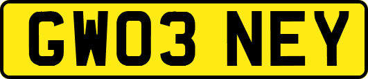 GW03NEY