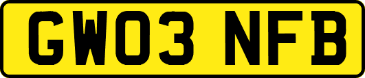 GW03NFB