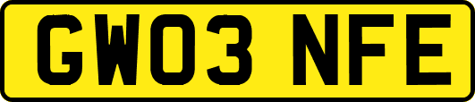 GW03NFE
