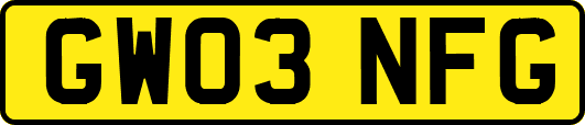 GW03NFG