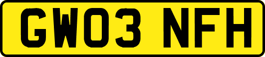 GW03NFH