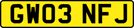 GW03NFJ