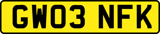 GW03NFK
