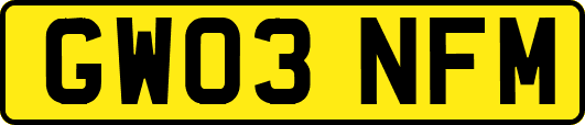 GW03NFM