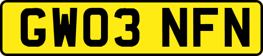 GW03NFN