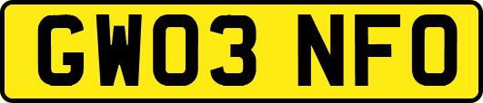 GW03NFO