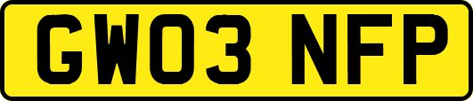 GW03NFP