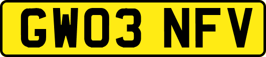 GW03NFV