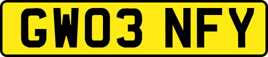 GW03NFY