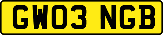 GW03NGB