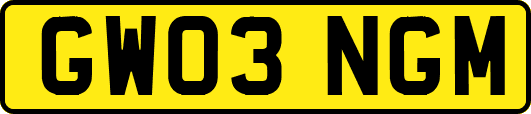 GW03NGM