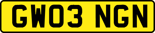 GW03NGN