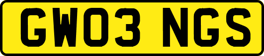 GW03NGS