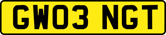 GW03NGT