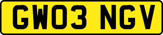 GW03NGV