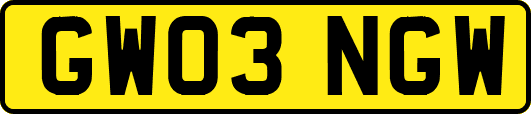 GW03NGW