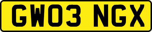 GW03NGX