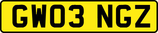 GW03NGZ