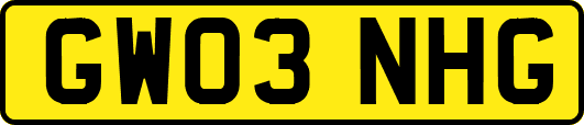 GW03NHG