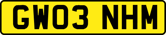 GW03NHM