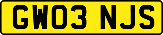 GW03NJS