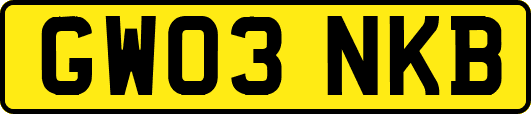 GW03NKB