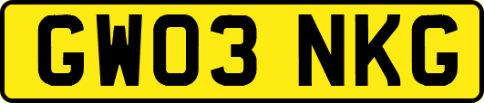 GW03NKG
