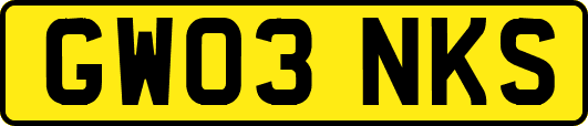 GW03NKS