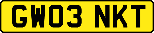 GW03NKT