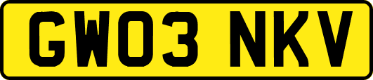 GW03NKV