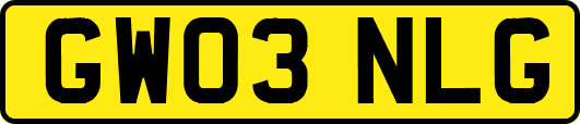 GW03NLG