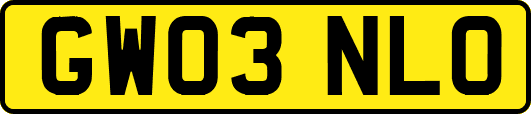 GW03NLO