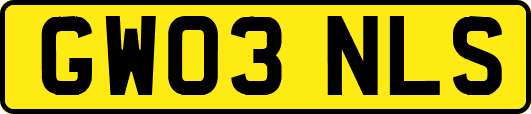 GW03NLS