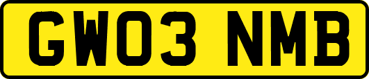 GW03NMB