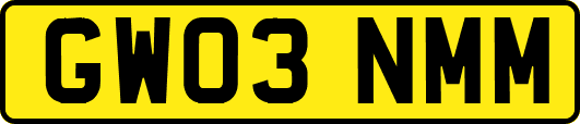 GW03NMM