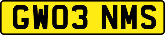 GW03NMS