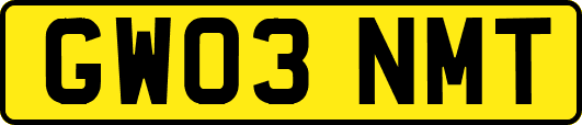 GW03NMT
