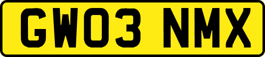 GW03NMX
