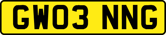 GW03NNG
