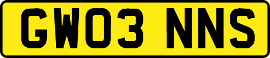 GW03NNS