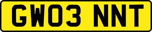 GW03NNT