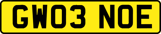 GW03NOE