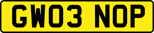 GW03NOP