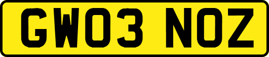 GW03NOZ