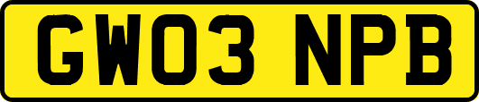 GW03NPB