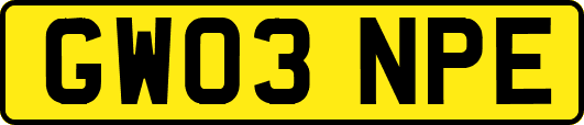 GW03NPE