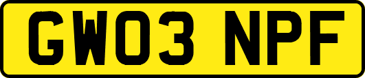 GW03NPF